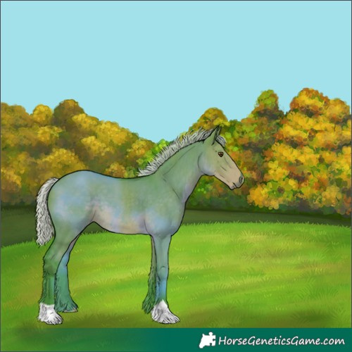 Horse Color:Watercolor Silver Smoky Grullo 