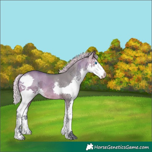 Horse Color:Watercolor Silver Brown Dun Splash Varnish 