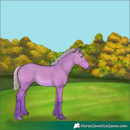 Horse Color:Watercolor Silver Brown Dun 