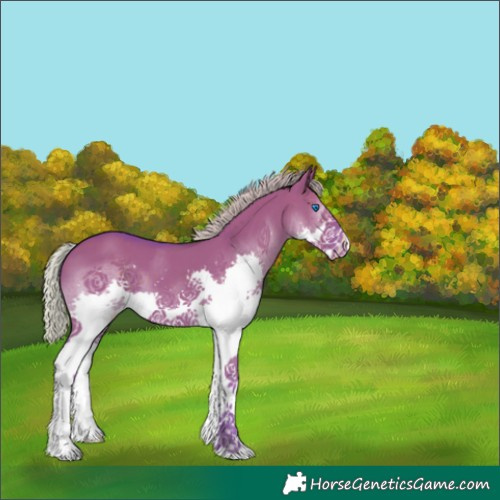 Horse Color:Watercolor Silver Grullo Splash Appaloosa 