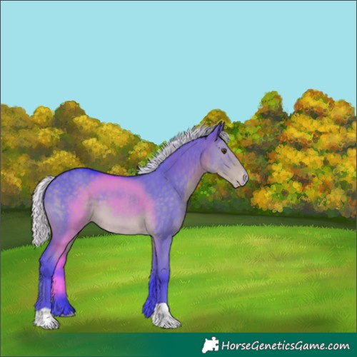 Horse Color:Watercolor Silver Smoky Grullo Appaloosa 