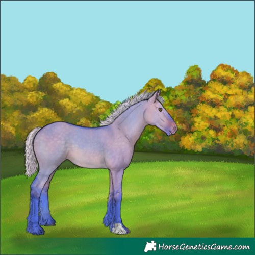 Horse Color:Watercolor Silver Brown Dun Varnish 