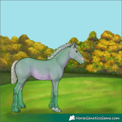 Horse Color:Watercolor Silver Brown Dun Appaloosa 
