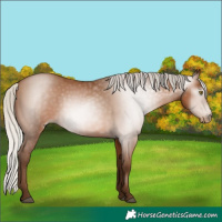 Horse Color:Gray Silver Bay Pearl 