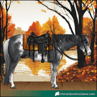 Horse Color:White Spotted Black
