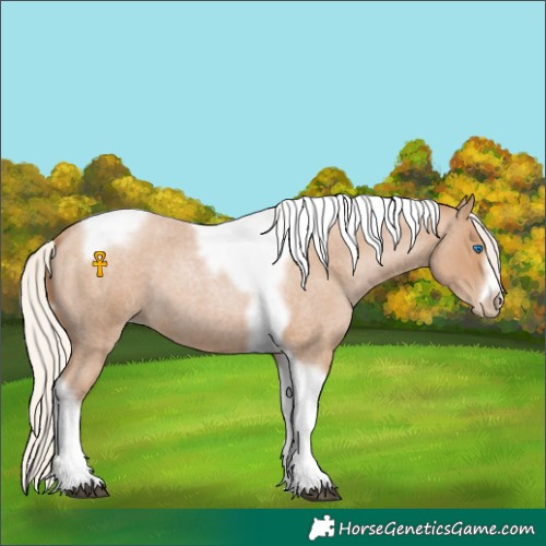 Horse Color:Silver Blue Roan Pearl Tobiano Frame
