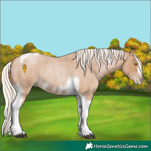 Horse Color:Silver Blue Roan Pearl Tobiano Frame 