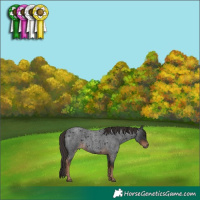 Horse Color:Liver Red Roan 