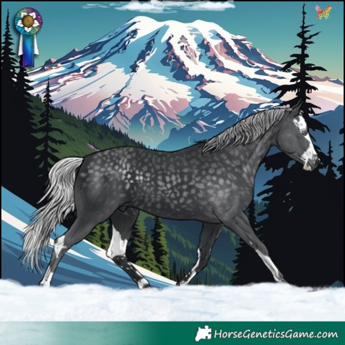 Horse Color:Silver Black Chinchilla Splash 