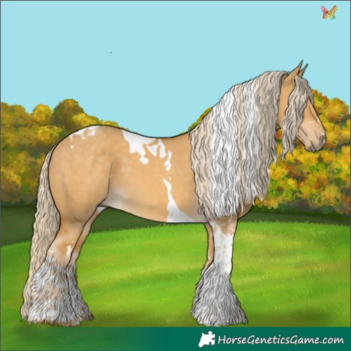 Horse Color:Palomino Dun Tobiano