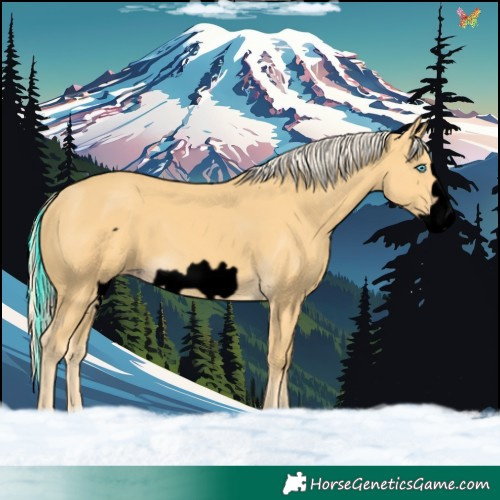 Horse Color:Void Gold Cream Champagne Frame 