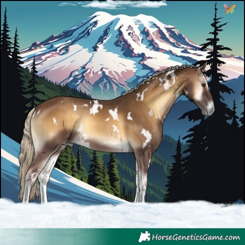 Horse Color:White Spotted Chocolate Palomino Onyx Rabicano 