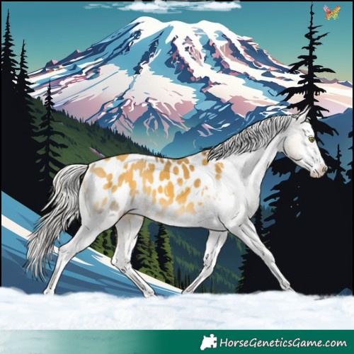 Horse Color:White Spotted Silver Sable Cream Champagne Onyx Blanket 