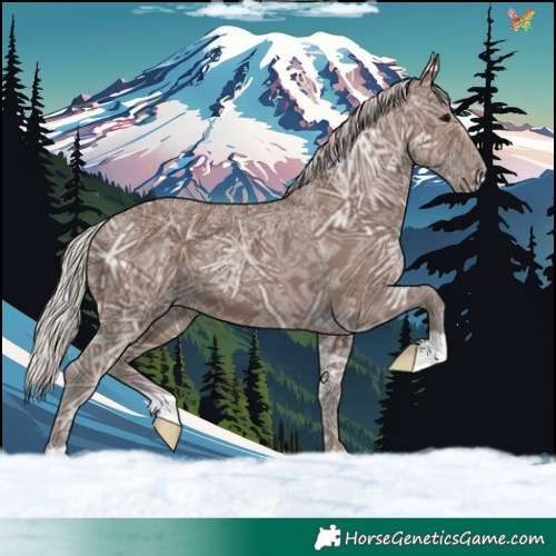 Horse Color:Silver Black Ice 