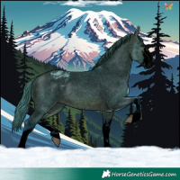 Horse Color:Void Watercolor White Spotted Brown Dun Appaloosa