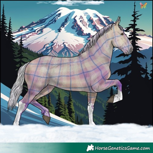 Horse Color:Watercolor Plaid  Silver Buckskin Dun Tobiano 