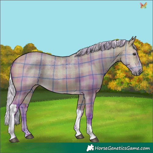 Horse Color:Watercolor Plaid  Silver Buckskin Dun Tobiano 