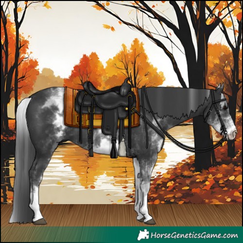 Horse Color:White Spotted Black