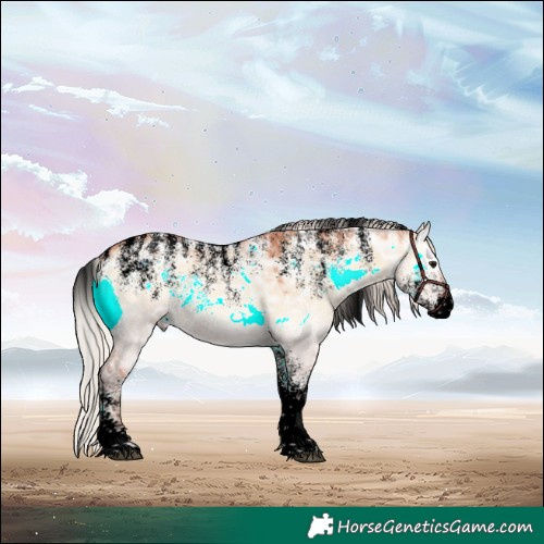 Horse Color:Powder White Void Silver Bay Ice Onyx Rabicano 