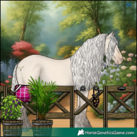 Horse Color:Cremello Dun 