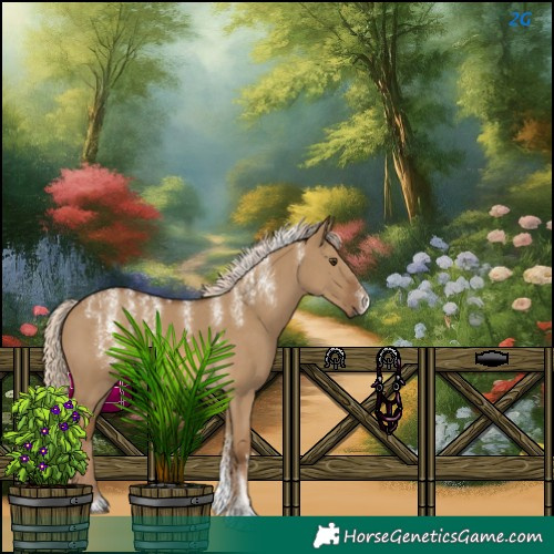 Horse Color:Chocolate Palomino Dun 