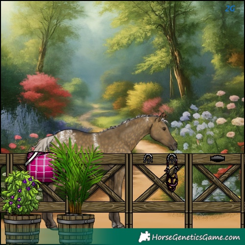 Horse Color:Silver Buckskin Dun 