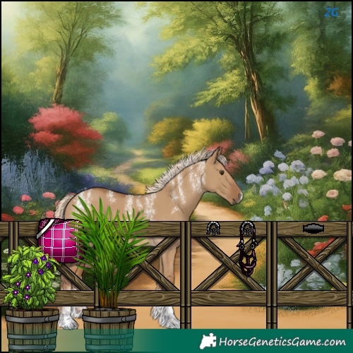 Horse Color:Chocolate Palomino Dun 