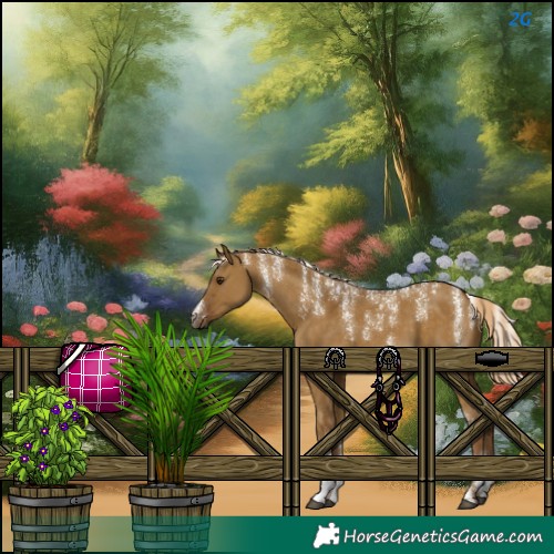 Horse Color:Chocolate Palomino Dun 