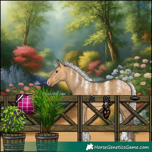 Horse Color:Silver Buckskin Dun 