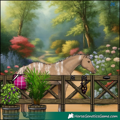 Horse Color:Chocolate Palomino Dun 