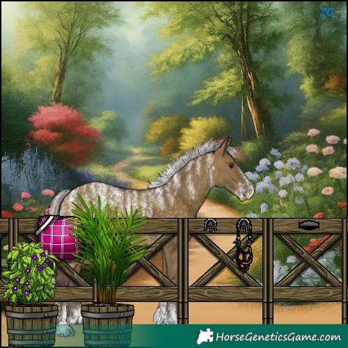 Horse Color:Silver Buckskin Dun 