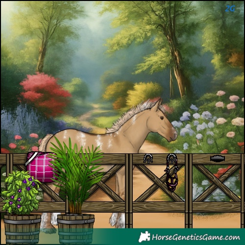 Horse Color:Chocolate Palomino Dun 