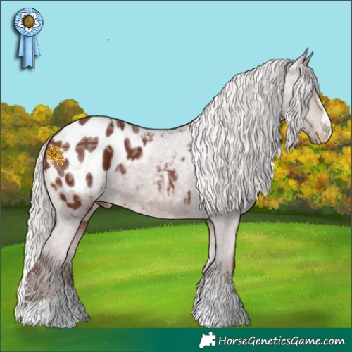 Horse Color:Chocolate Silver Brown Ice Appaloosa 
