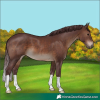 Horse Color:Chocolate Brown 
