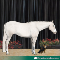 Horse Color:Chocolate Palomino Roan Pearl Varnish Rabicano 