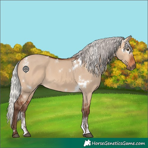 Horse Color:Powder White White Spotted Silver Bay Dun Rabicano 