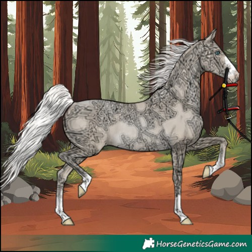Horse Color:Silver Classic Champagne Ice Snowdrop Pearl Rabicano 