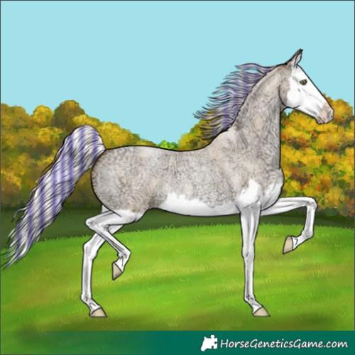 Horse Color:Painted Silver Bay Ice Roan Pearl Dun Splash 