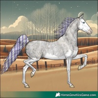 Horse Color:Painted Silver Bay Ice Roan Snowdrop Pearl Dun Splash 