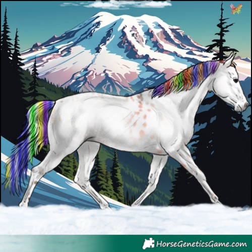 Horse Color:Gray Painted Silver Bay Ice Onyx Appaloosa 