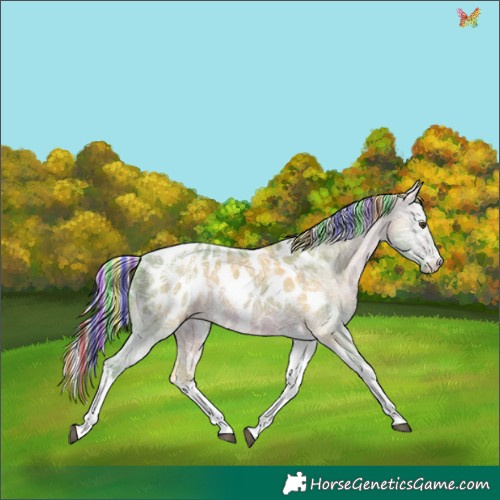 Horse Color:Painted Watercolor White Spotted Silver Brown Ice Dun Tobiano Appaloosa Rabicano 