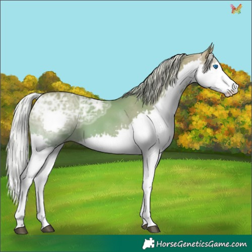 Horse Color:Watercolor Silver Bay Ice Splash 
