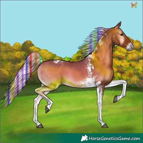 Horse Color:Painted Silver Blue Onyx Tobiano 