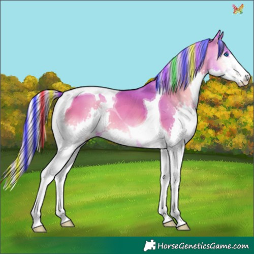 Horse Color:Painted Watercolor Silver Bay Onyx Splash Tobiano 