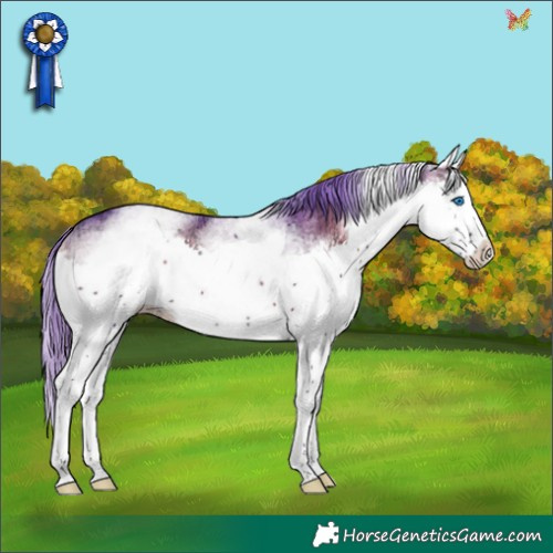 Horse Color:Watercolor White Spotted Blue Onyx Ice Splash