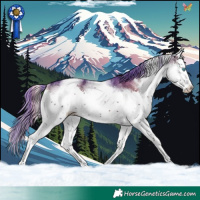 Horse Color:Watercolor White Spotted Blue Onyx Ice Splash 