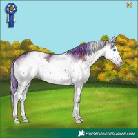 Horse Color:Watercolor White Spotted Blue Onyx Ice Splash 