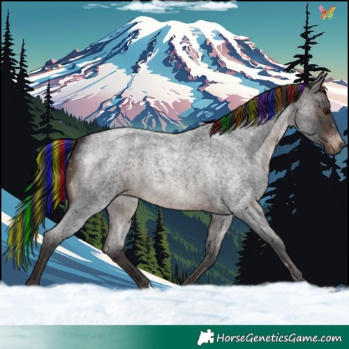 Horse Color:Painted Brown Roan