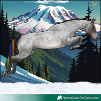 Horse Color:Painted Brown Roan 
