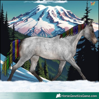 Horse Color:Painted Brown Roan 